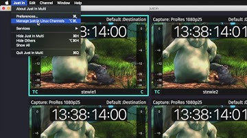 just:in 3.5 - Burnt-In Timecode