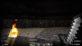 Live stream of the new dynamic light