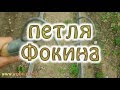 петля Фокина