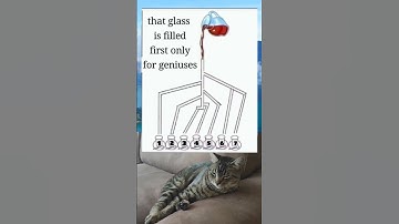 Which glass is first? #memes #funny #shorts