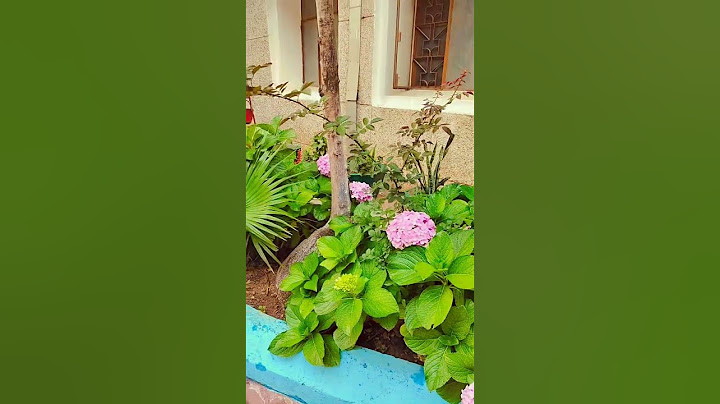 #A He Chot@ #garden #M@hi M@nsi