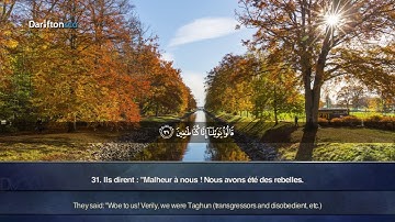Sourate Al-Qalam - Ahmed Al Amin سورة القلم  أحمد الأمين