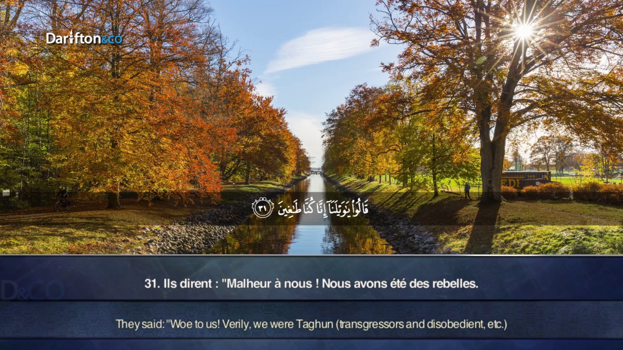 Sourate Al-Qalam - Ahmed Al Amin سورة القلم  أحمد الأمين