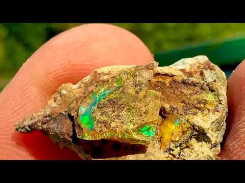 Canadian Opals!