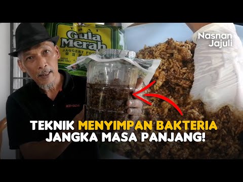 [PART 2] Teknik Penyimpanan Bakteria Kuat Untuk Jangka Masa Panjang, IMO Membantu Dalam Pertanian