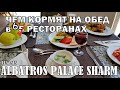 ALBATROS PALACE SHARM. ЧТО НА ОБЕД В 6 РЕСТОРАНАХ.