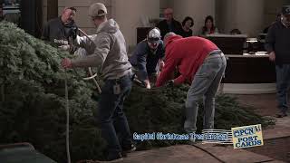 Pennsylvania Capitol Christmas Tree Arrival in Harrisburg | PCN Postcards