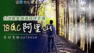 Car Camping in Alishan, 2024 Cherry Blossom Status | Tefuye Trail | Mihu Trail  | Taiwan