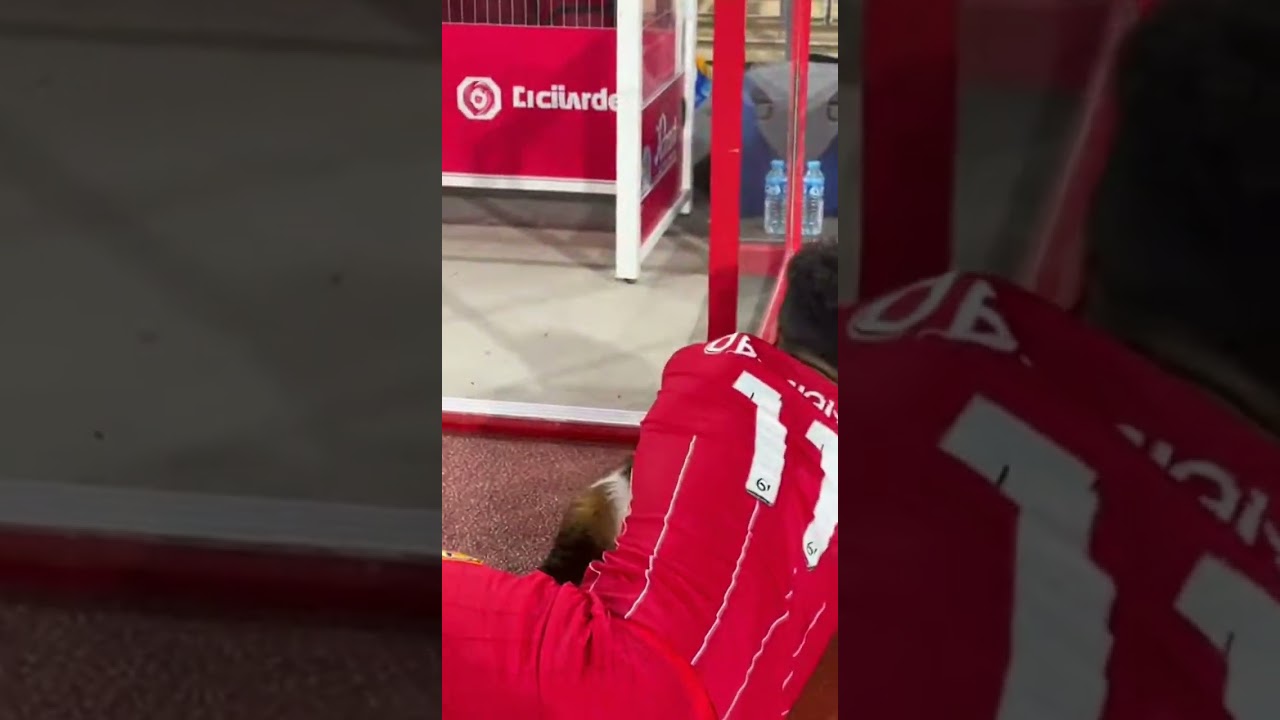 THE JERSEY THIEF CAUGHT IN ACTION 👕🐶😂⚽✨ 