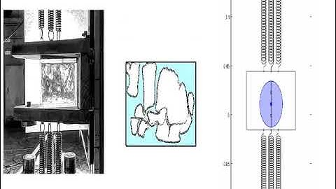 Vertical sloshing problem. Experiment, SPH simulation and ROM.