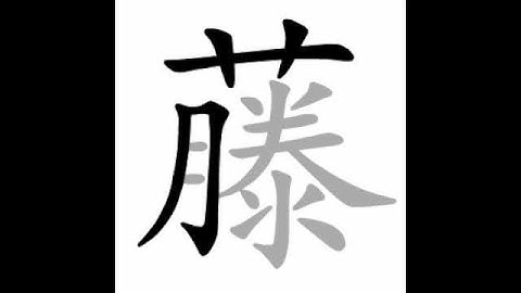 how to write chinese 藤丨Chinese stroke order中文汉字笔顺动画
