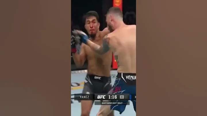 Ref Trips Over Fighters Head After KO | UFC Fight ...