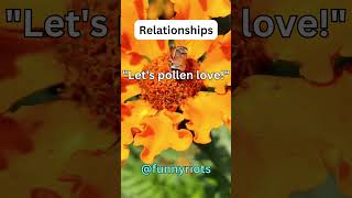 What did the flower say to the bee about their relationship | Funny Joke | Just For Laugh