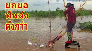 ยกทีหลังดังกว่า กว่าจะรื้อที่ยกยอเสร็จค่ำพอดีหมานปลาคือเก่า#fishing