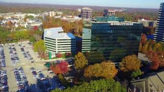 Mannequin Challenge - Corporate Edition