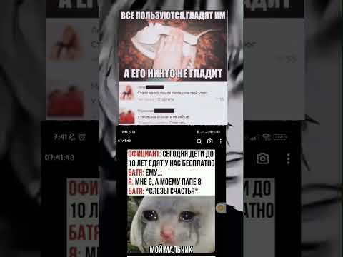 #мем#смешныевидео#коты не обращайте