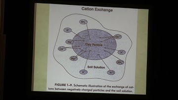 The Importance of Soil Testing