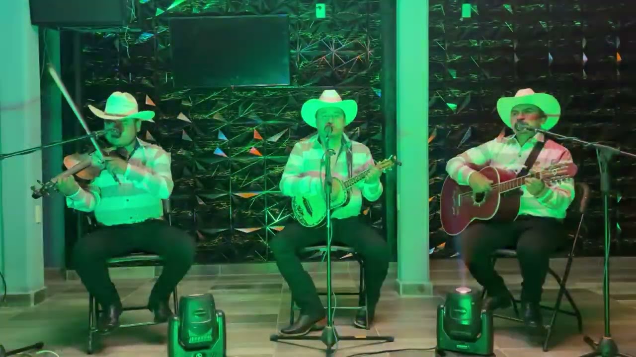 Trio Sultanes De Hidalgo - Huapango El Tejoncito (producción #PekeSolis)