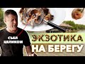 Обзор Nhà Hàng Sân Vườn Sông Vàng. Съел голову воробья и не только!