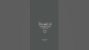 القرآن الكريم #أجر لي ولكم _اكتب شيء تؤجر عليه #🌸🌸🌸🌸