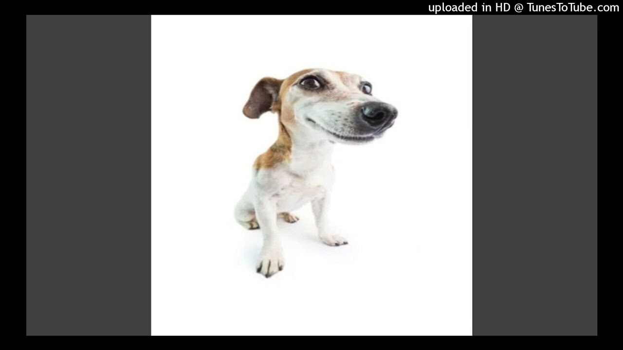 whatdadogdoin jugg beat