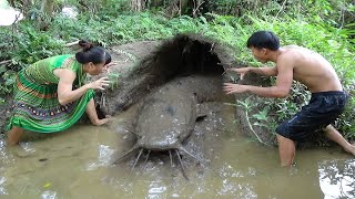 Primitive Life - Dig Hole Build Físh Trap Catch catfish - Cooking Skills Fish and Eating Delicious