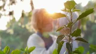 【祖斯 x 熊熊】花のみぞ知る 只有花知曉【PV】