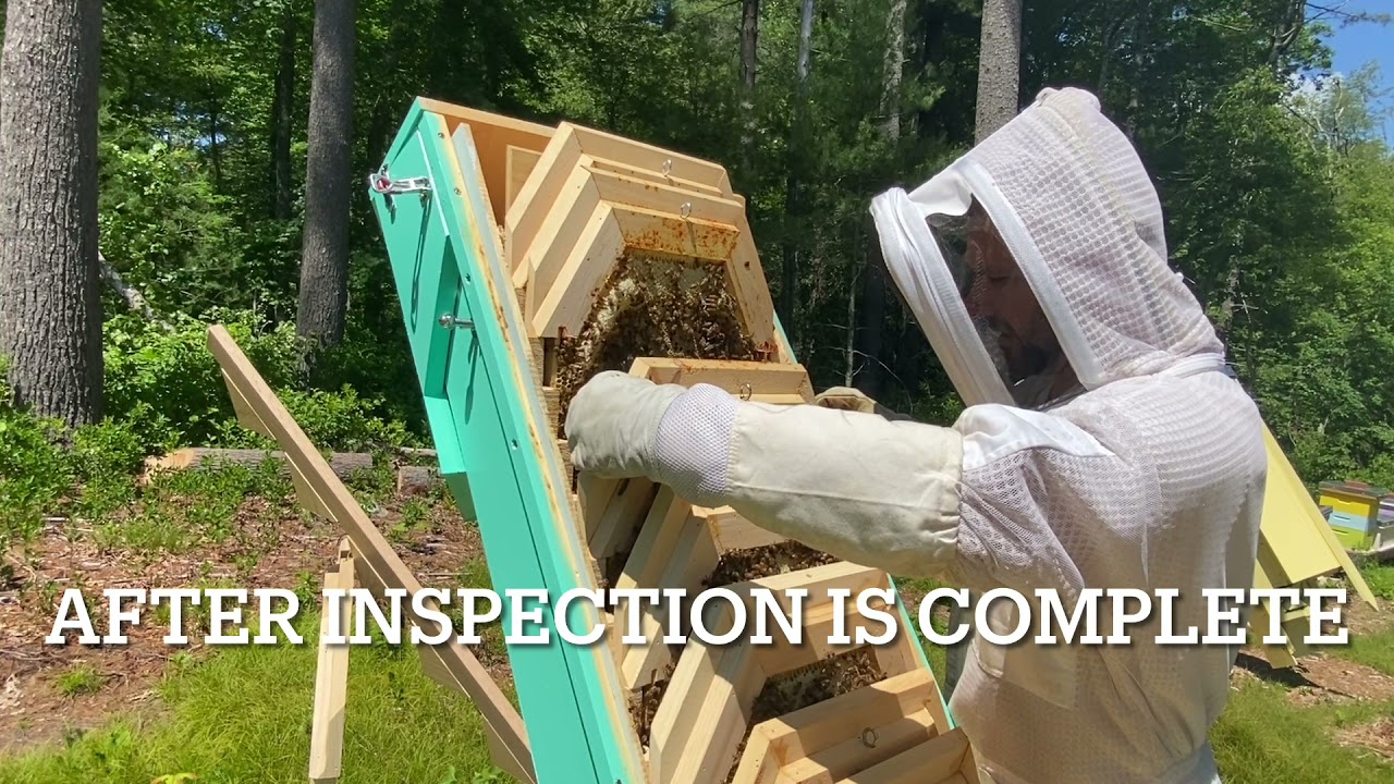 Colony Keeper Hive Inspection