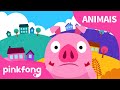 Alguém Viu O Meu Rabinho? e Ação Animal | Canções de Animais | Pinkfong Canções para crianças