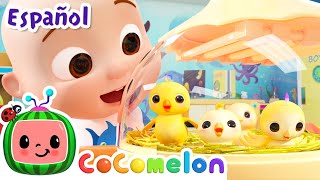 CoComelon en Español | Aprendiendo los Los números | Canciones Infantiles y de Cuna