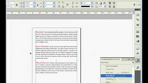 Adobe Indesign CS4 (TAMIL) STYLE==Nested Style-003.flv