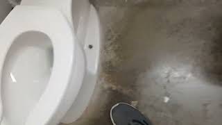 807. An Early 2010s Kohler Highline Class 5 Toilet At AutoZone