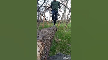 crpf#ssb#bsf#itbp#cisf#cobra commando#assam raifl#indian army#new#viral#status#video#commando#