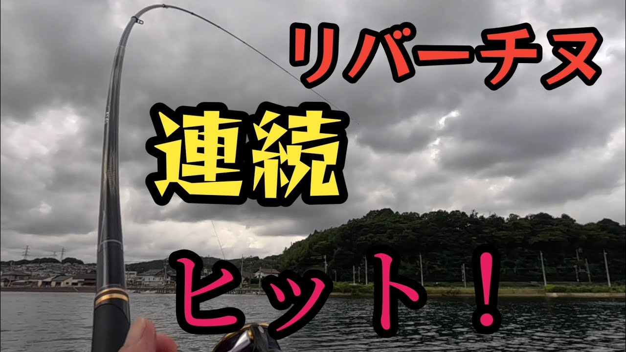 チヌの巣窟？リバーチヌが入れ喰いますが～サイズは愛嬌✌️