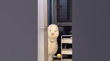 bts member VS animal😅#bts #btsarmy #btsshorts #viral #viralvideo #youtubeshorts #like #views