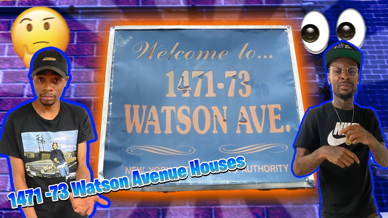 INSIDE 1471 73 WATSON AVENUE PROJECTS (BRONX) YouTube