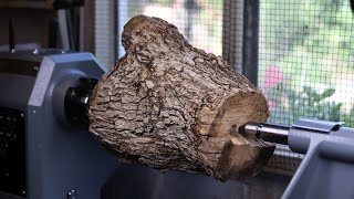Woodturning - A Poisonous Crotch?!