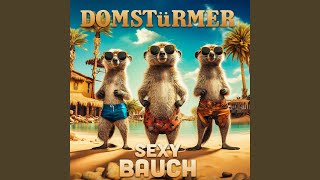 Miniatura de vídeo de "Domstürmer - Sexy Bauch"