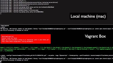 Setting behat to communicate with your local browser from inside a headless VM