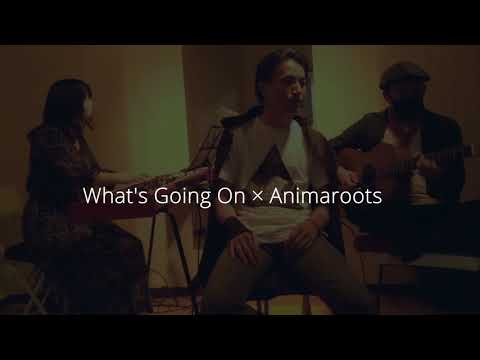 What's Going On / Marvin Gaye (Covered by Animaroots & misao)