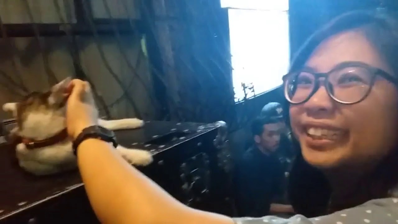 Talata - Rise MV launch