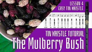 The Mulberry Bush - Easy Tin Whistle Tunes (lesson 4)