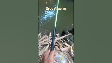 Spot Mancing Wader Paling Enak Disini