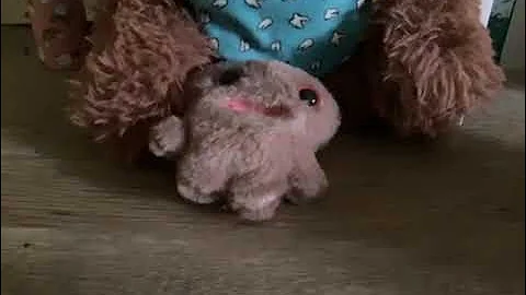 78510805022  D461A411 76CA 4E7B 9E5C 7EB4879A1F5C