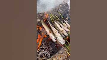 Cá lóc nướng thật tuyệt vời các chiến hữu ơi đơn giản mà ngon còn gì nữa mà không lụm hả chiến hữu