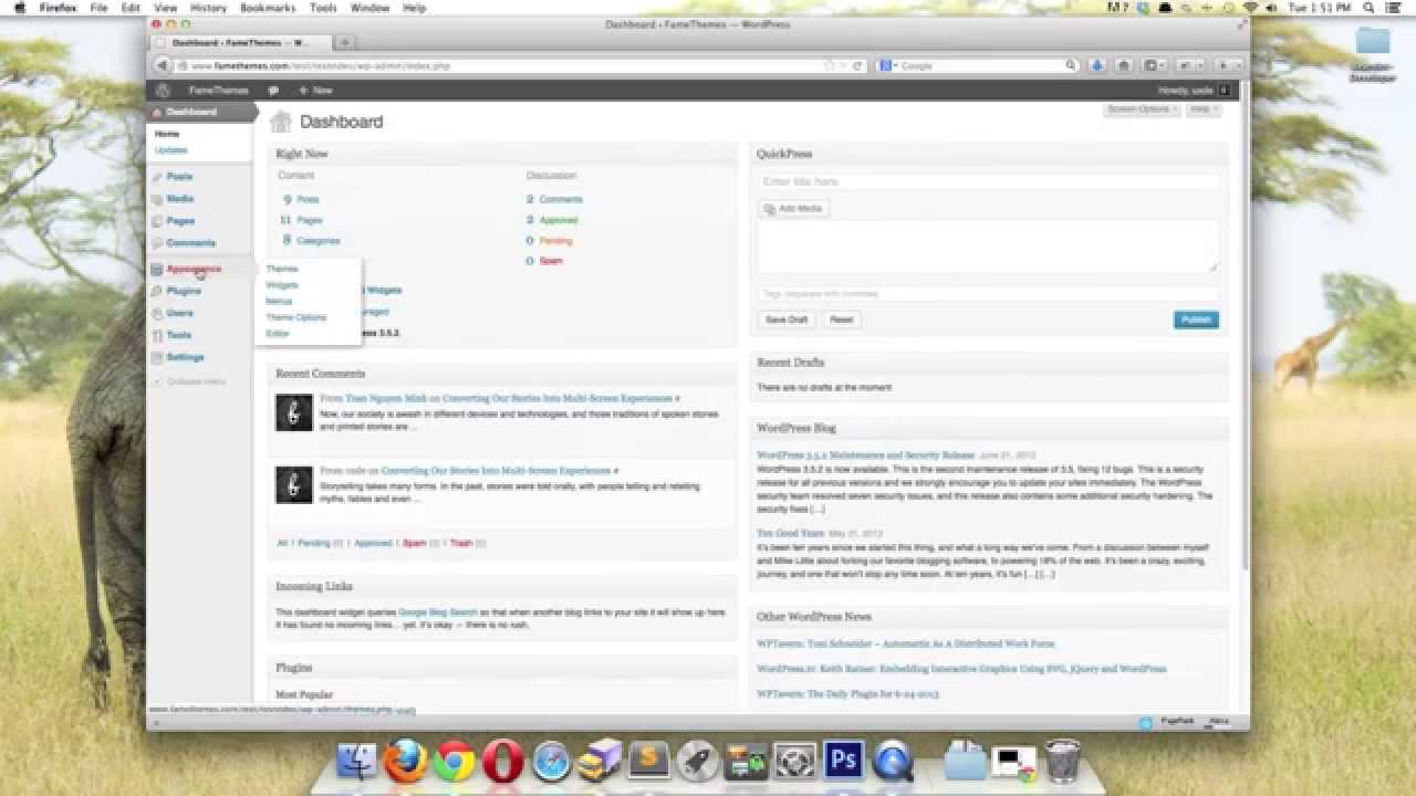 Import Theme Options Data - FameThemes