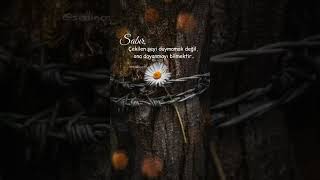 Güzel Sözler, Anlamlı Sözler, Özlü Sözler, Kısa Güzel Sözler