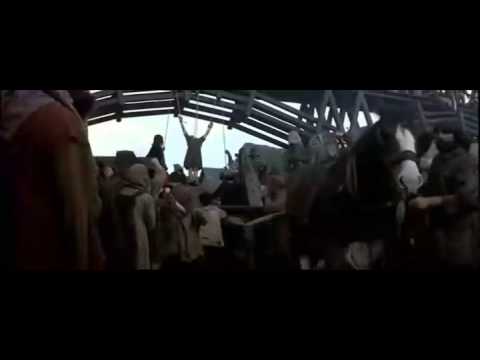 حال الثوار المصريين احمد ماهر محمد عادل احمد دومه و علاء عبد الفتاح