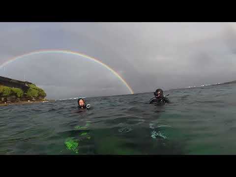 🌊 Scuba Diving Bare Island, Sydney | Strong Surge, Heavy Rain & a Stunning Double Rainbow! 🌈🤿