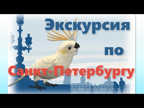 Видео: Экскурсия по Санкт-Петербургу, главные достопримечательности